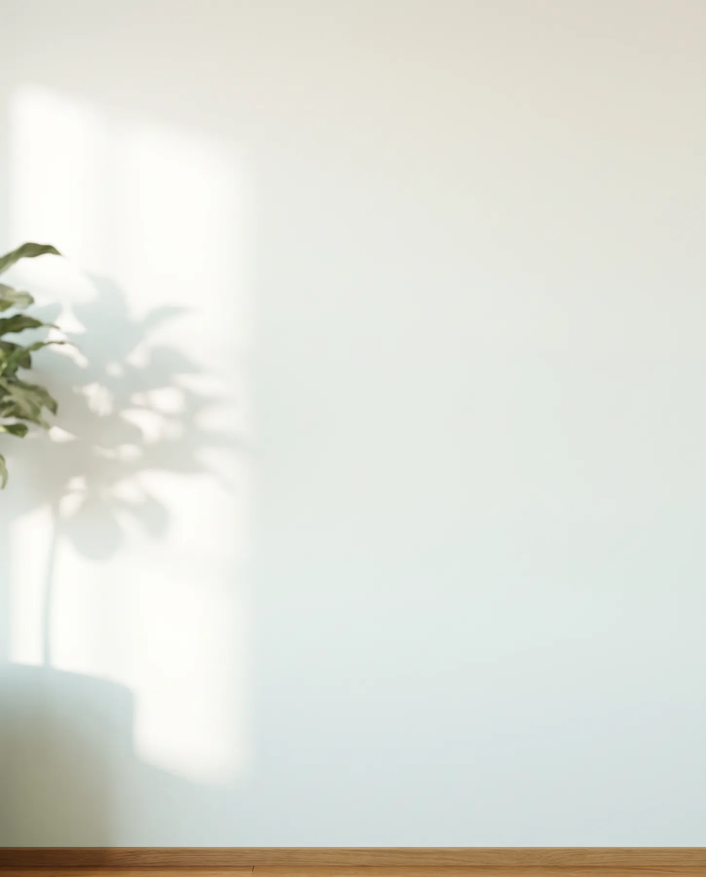 Pale teal wall with plant shadow — plate for the founder portrait