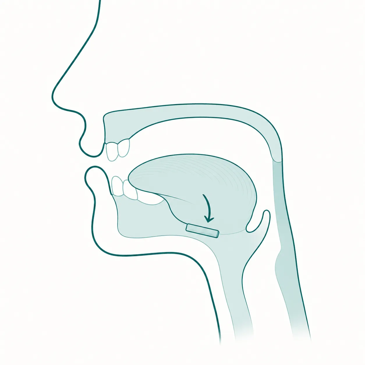 Cutaway diagram of the mouth showing a film strip dissolving against the sublingual tissue
